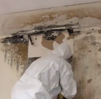 Mold & Asbestos Testing & Removal