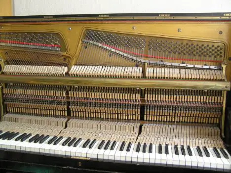 Tips to Keep a Piano In Tune
